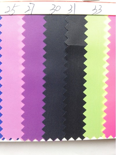 DG-BICG  BC-2101 尼龍   背囊面料 細節-2